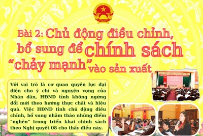 Bài 2 - Chủ động điều chỉnh, bổ sung để chính sách “chảy mạnh” vào sản xuất