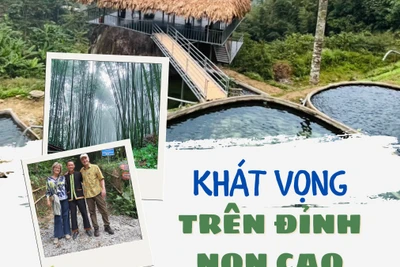 Khát vọng trên đỉnh non cao 