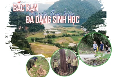 Bắc Kạn bảo tồn đa dạng sinh học