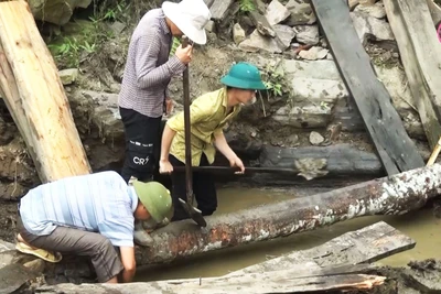 Phê duyệt Danh mục vùng hạn chế, vùng phải đăng ký khai thác nước dưới đất