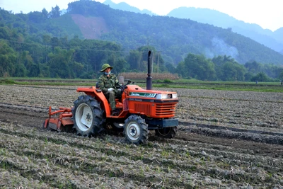 Được vụ mùa, nông dân phấn khởi làm đất gieo cấy vụ đông