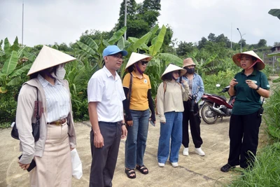 Trải nghiệm và chia sẻ thông tin về bảo tồn đa dạng sinh học tại Ninh Bình