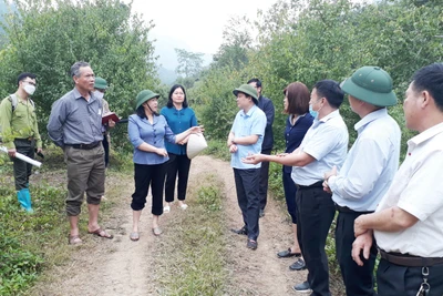 Phát triển đảng viên ở vùng đồng bào có đạo, vùng dân tộc thiểu số Bắc Kạn: Kỳ 3- XÂY DỰNG, CỦNG CỐ HỆ THỐNG CHÍNH TRỊ Ở CƠ SỞ