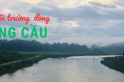 Bảo vệ môi trường dòng sông Cầu