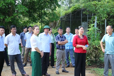 Cần nâng cao hiệu quả quản lý và sử dụng đất công gắn với tài sản công trên địa bàn tỉnh