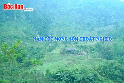 Người dân Nặm Tốc mong sớm thoát nghèo