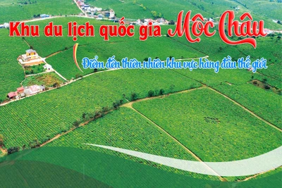 Khu du lịch quốc gia Mộc Châu- điểm đến thiên nhiên khu vực hàng đầu thế giới