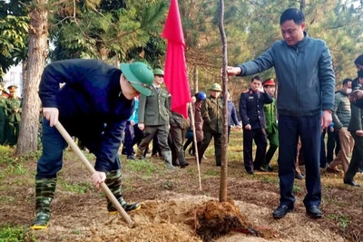 [Trực tiếp] Lễ phát động Tết trồng cây đầu xuân Quý Mão