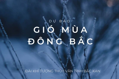 TIN GIÓ MÙA ĐÔNG BẮC 