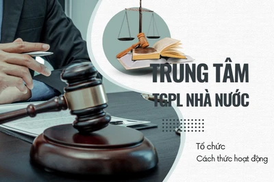 Cách tổ chức và hoạt động của Trung tâm Trợ giúp pháp lý nhà nước