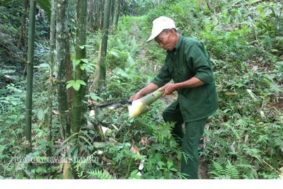 Học tập và làm theo lời dạy của Bác, "Thương binh tàn nhưng không phế"