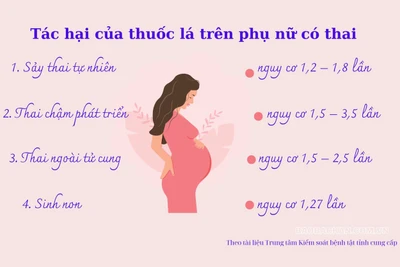 Hút thuốc lá ảnh hưởng đến khả năng sinh sản của phụ nữ