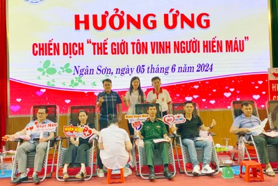 Giọt máu hồng - Trao sự sống