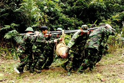 Sức trẻ và khát vọng cống hiến cho quân đội