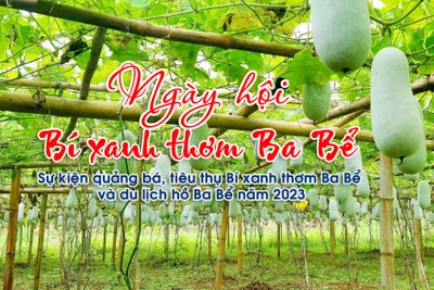 Thưởng thức bí xanh thơm và trải nghiệm du lịch hồ Ba Bể cùng NSƯT Xuân Bắc