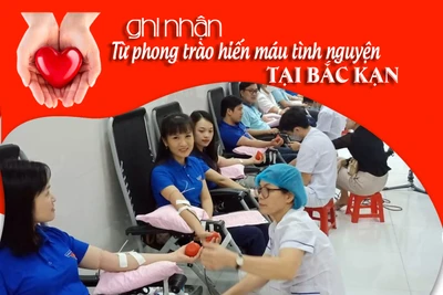 Ghi nhận từ phong trào hiến máu tình nguyện tại Bắc Kạn