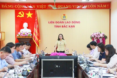 Dự thảo Luật Công đoàn (sửa đổi) có nhiều điểm mới, tạo thuận lợi cho hoạt động công đoàn