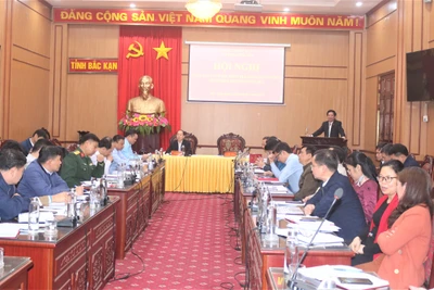 Triển khai công tác kiểm tra, giám sát năm 2023