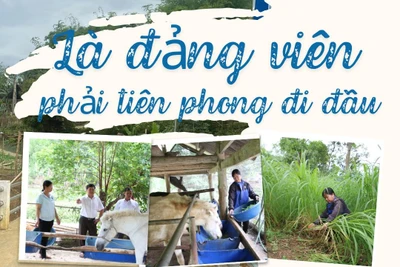 Là đảng viên phải tiên phong đi đầu