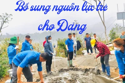 Bổ sung nguồn lực trẻ cho Đảng