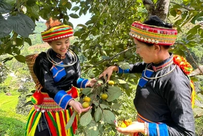 Bắc Kạn sau 27 năm tái lập: Linh hoạt, sáng tạo, hành động quyết liệt để vươn lên