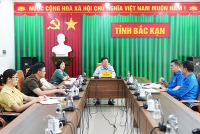 Bàn giải pháp phát triển phong trào văn hóa văn nghệ, thể thao đường phố