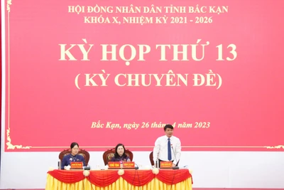 Xem xét, quyết định các nội dung quan trọng về phát triển KT - XH