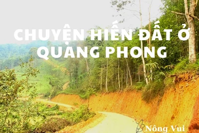 Chuyện hiến đất ở Quang Phong