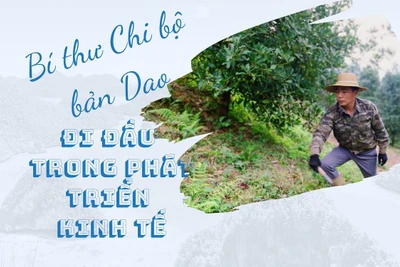 Bí thư Chi bộ bản Dao đi đầu trong phát triển kinh tế