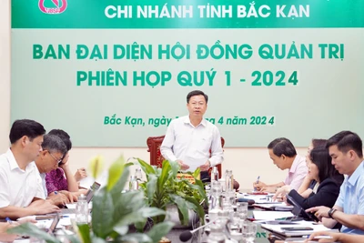 Tiếp tục triển khai có hiệu quả các chương trình tín dụng chính sách