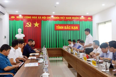 Lãnh đạo tỉnh Bắc Kạn làm việc với Nghiệp đoàn Lâm nghiệp vùng Kamo-Hiroshima Nhật Bản