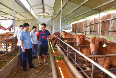 Đồng chí Nông Quang Nhất kiểm tra tình hình kinh tế - xã hội tại Bạch Thông