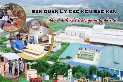 Ban Quản lý các KCN Bắc Kạn đẩy mạnh xúc tiến, quản lý đầu tư