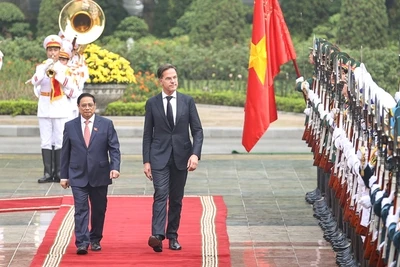 Làm sâu sắc hơn nữa quan hệ Đối tác toàn diện Việt Nam - Hà Lan