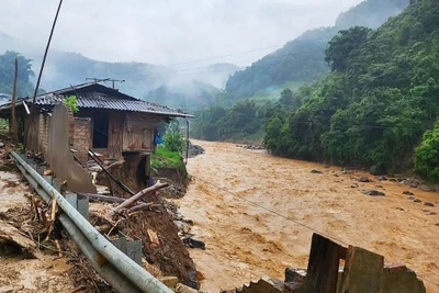 Nguy cơ lũ quét, sạt lở, sụt lún đất do mưa lũ ở khu vực Bắc Bộ