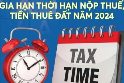 Infographics: Đối tượng được gia hạn nộp thuế, tiền thuê đất năm 2024