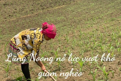 Lũng Noong từng bước giảm nghèo