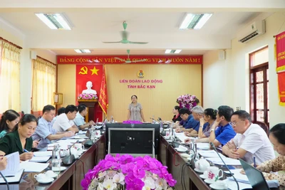 Ban đại diện Hội Người cao tuổi tỉnh Bắc Kạn tổ chức Hội nghị thành viên lần thứ 6