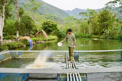 Khi đam mê mở lối làm giàu