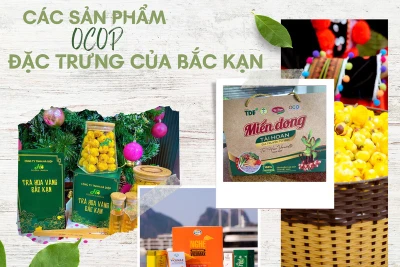 Bắc Kạn tham gia Tuần lễ quảng bá văn hóa, bán hàng đặc sản tại NovaWorld Phan Thiết, Bình Thuận