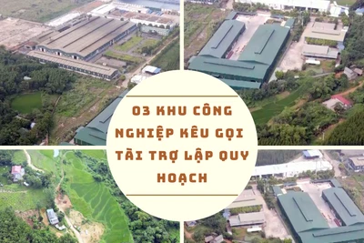 Kêu gọi tài trợ lập quy hoạch 03 khu công nghiệp 