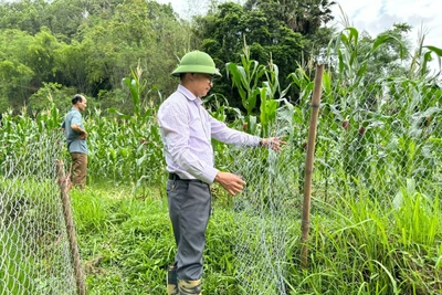 Loạt bài về giải phóng mặt bằng góp phần tích cực cho công tác vận động, tuyên truyền