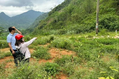 Kỳ 3: Sẽ kịp thời điều chỉnh đơn giá bồi thường để tạo đồng thuận, thông suốt