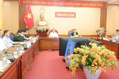 Quyết tâm triển khai Chương trình hành động thực hiện Chỉ thị 15 của Ban Bí thư về ngoại giao kinh tế