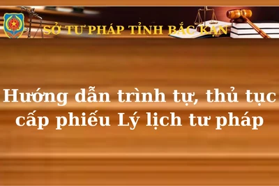 Hướng dẫn trình tự, thủ tục cấp phiếu Lý lịch tư pháp