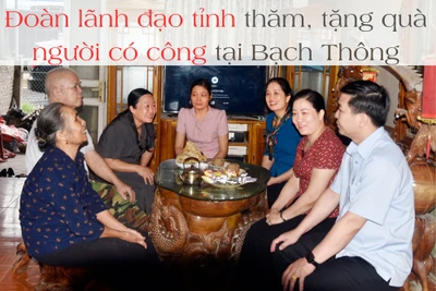 Đoàn lãnh đạo tỉnh thăm, tặng quà người có công với cách mạng tại Bạch Thông