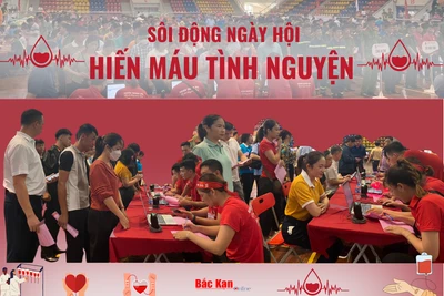 Bắc Kạn: Sôi động ngày hội hiến máu tình nguyện