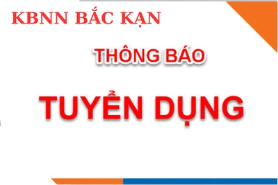 Kho bạc Nhà nước (KBNN) Bắc Kạn tuyển dụng hợp đồng lao động năm 2023