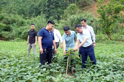 Giám sát việc quản lý, triển khai ứng dụng các đề tài, dự án khoa học và công nghệ tại huyện Na Rì