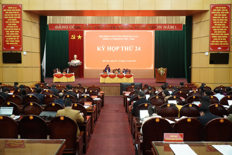 Phiên làm việc tại Hội trường, Kỳ họp thứ 24, HĐND tỉnh chiều 10/12. dsc02624.jpg